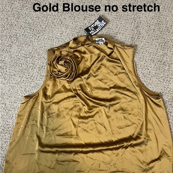 Elegant Gold Sleeveless Blouse - Picture 1 of 1